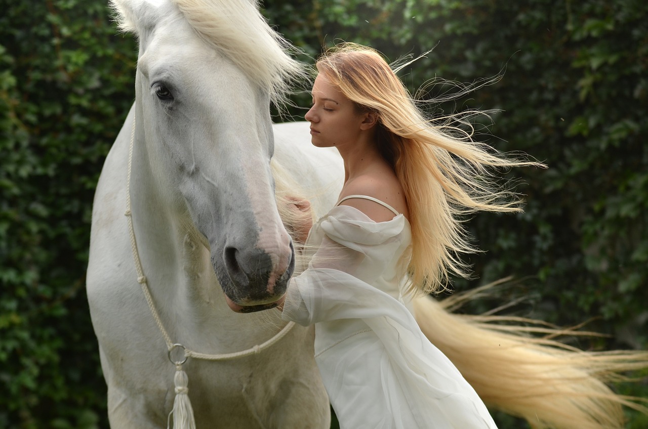¿Cuáles son los 4 pasos del caballo?