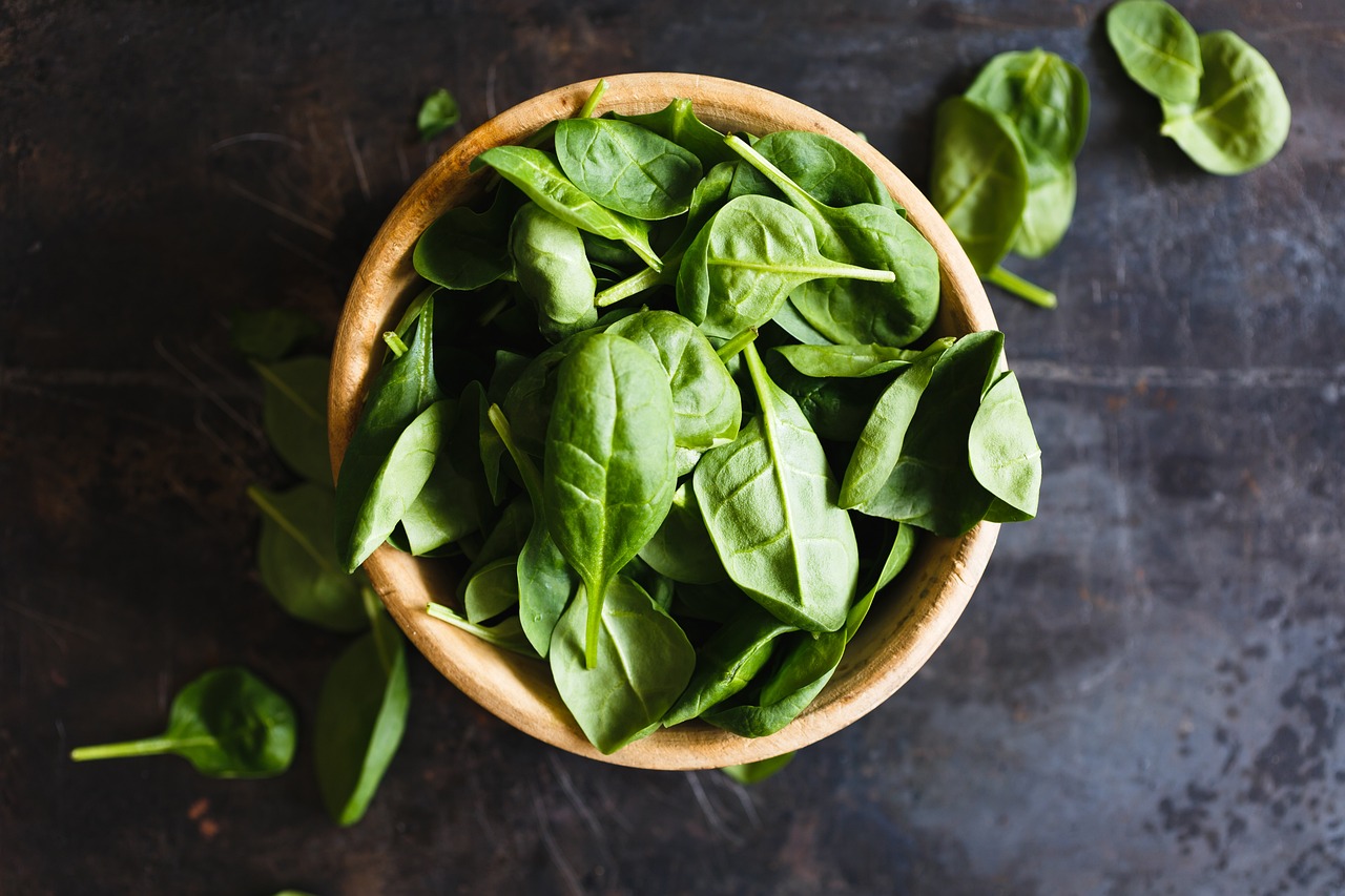 ¿Cuáles son los 5 tipos de alimentación?