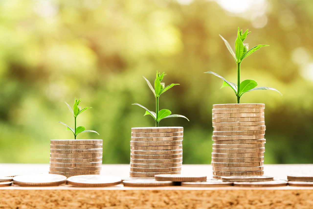 ¿Qué carreras dan más dinero en España?