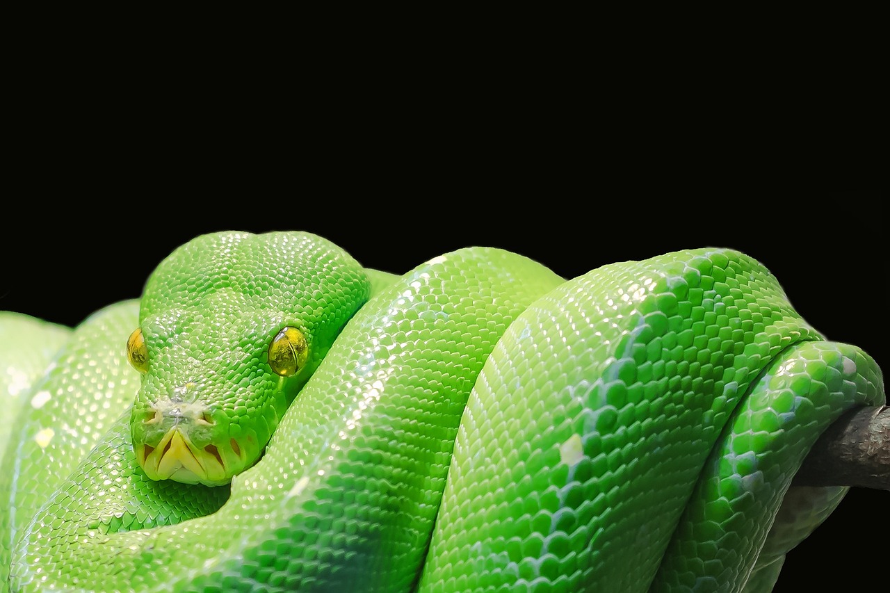 ¿Qué es una clase de Python?