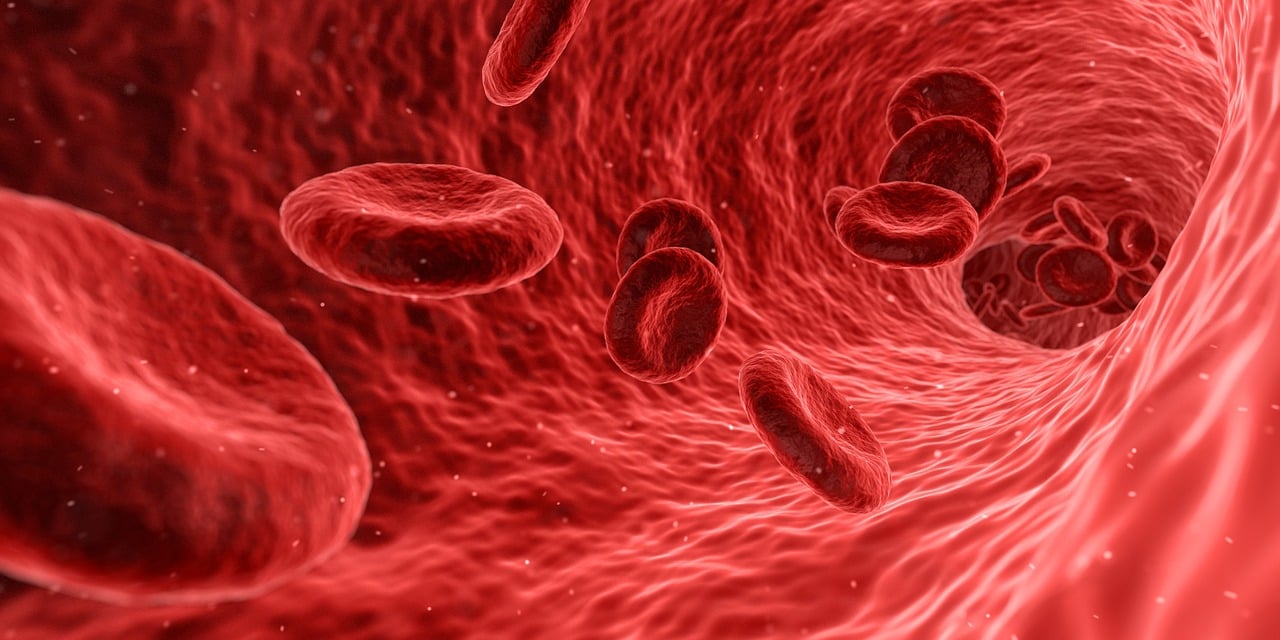 ¿Qué salidas tiene ciencias de la salud?