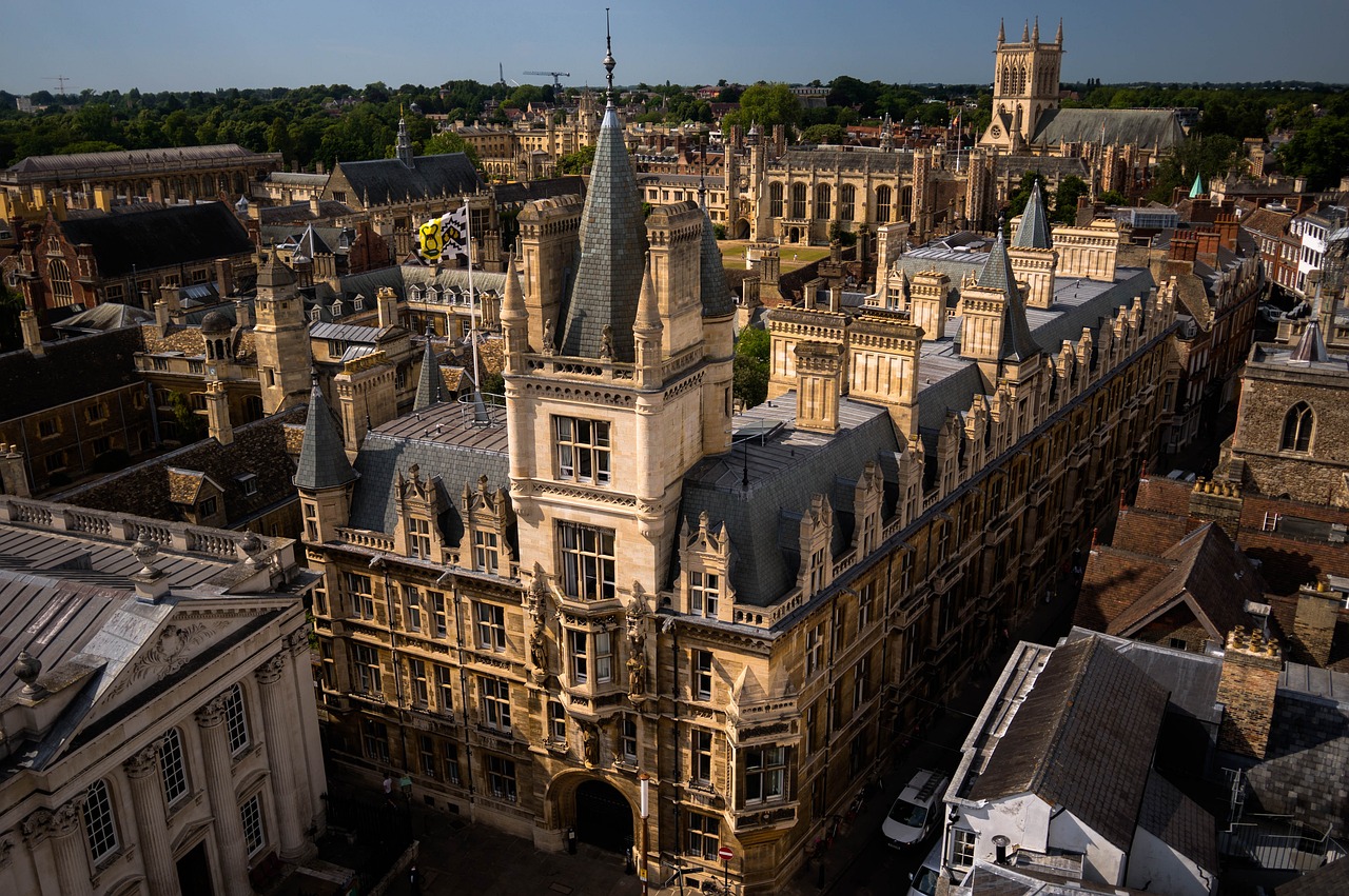 ¿Cuáles son los niveles de Cambridge?