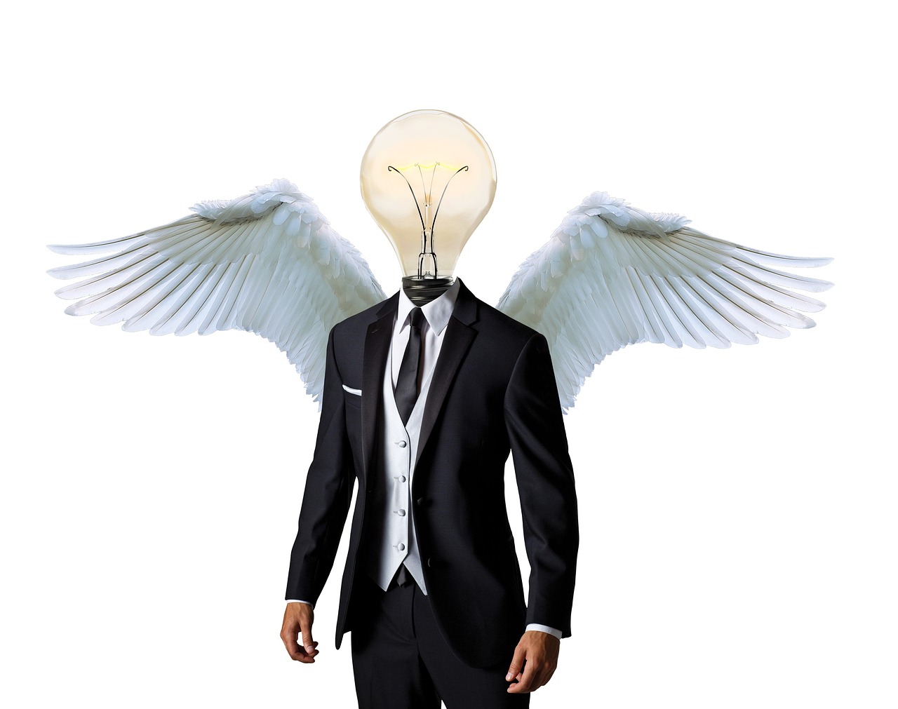 ¿Qué es un Business Ángel en una empresa?