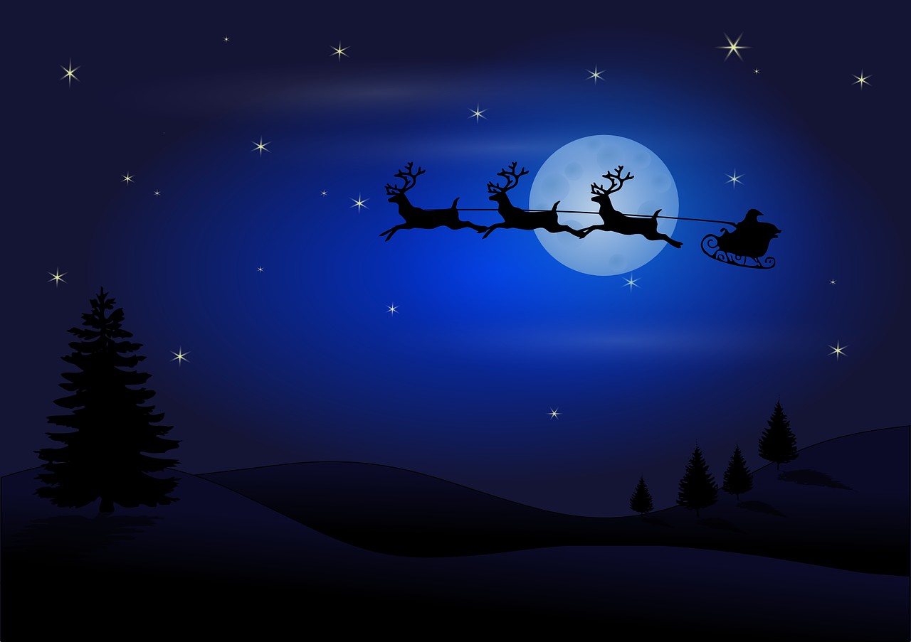 ¿Qué hacer para Navidad Ideas?