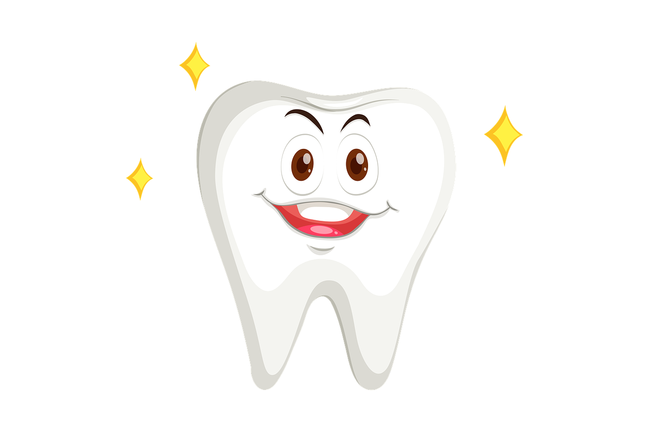¿Qué cursos entran en odontología?