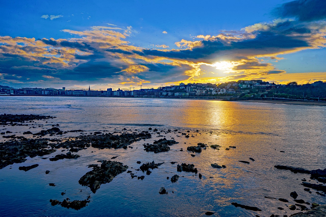 ¿Que se puede estudiar en Donostia?