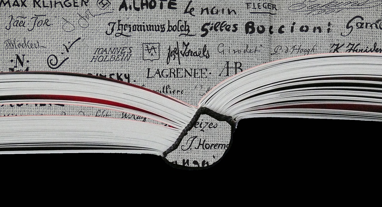 ¿Qué es la oposición en la Educación Física?