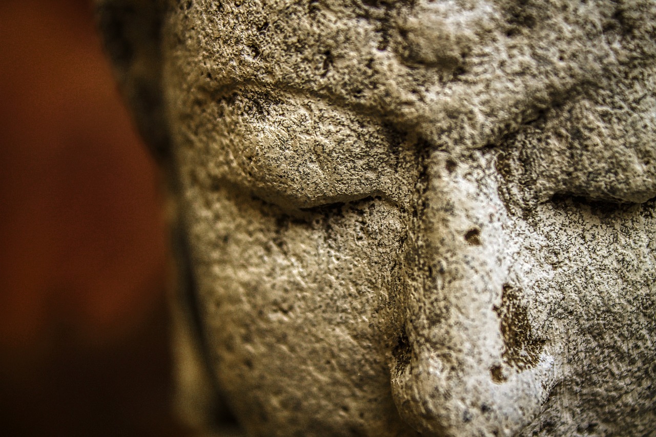 ¿Qué son los cursos mindfulness?