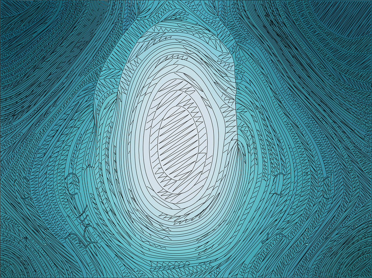 ¿Cuáles son las especializaciones en seguridad?