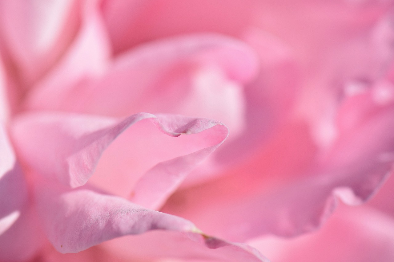 Why are wedding planners so expensive?