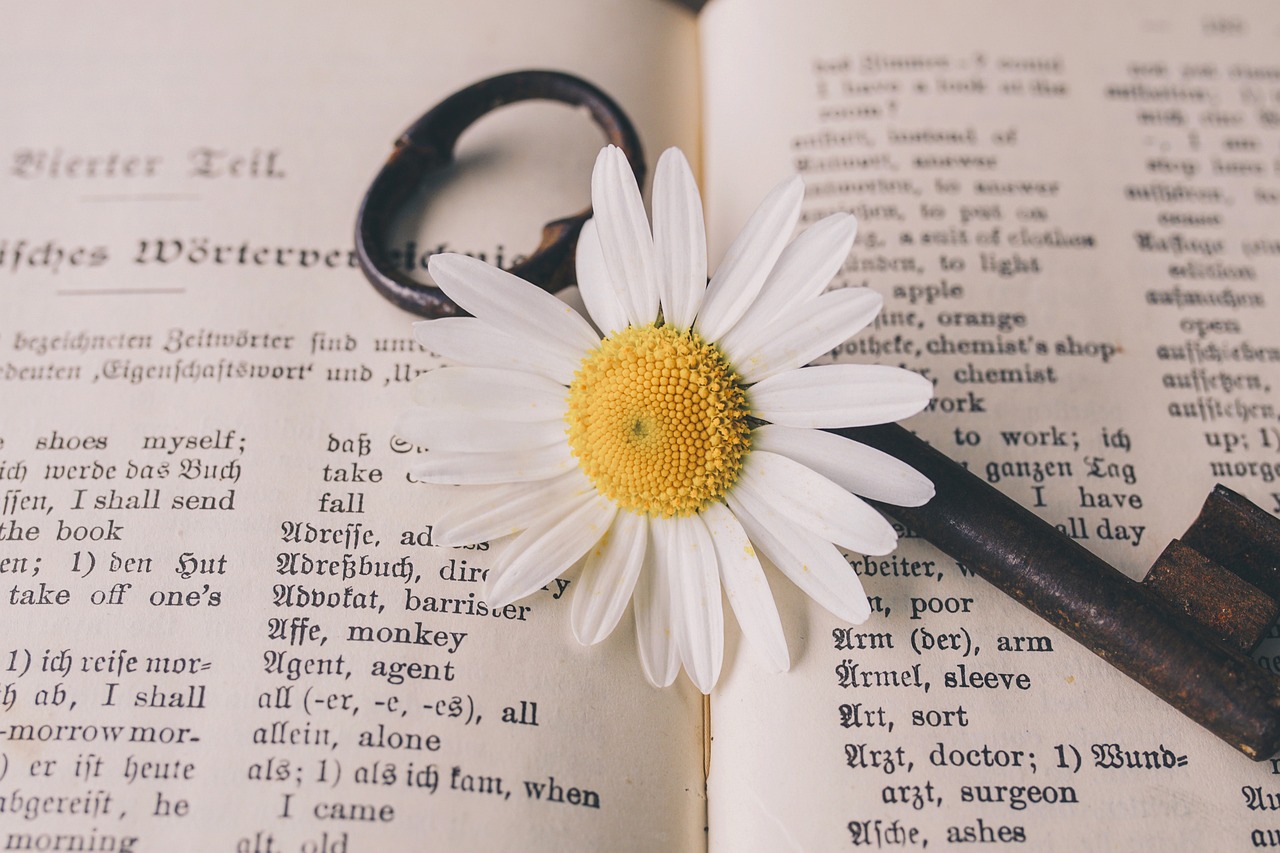 ¿Cuál es la mejor opción para aprender inglés?