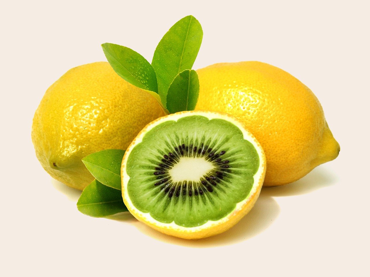 ¿Cómo sacar un certificado de manipulación de alimento?
