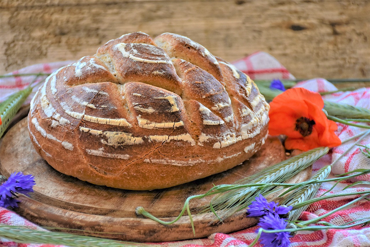 ¿Qué es un curso de cocina basica?