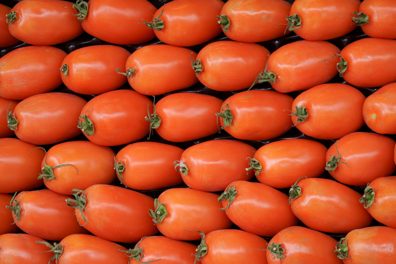 ¿Cuál es el mejor método Pomodoro para estudiar?