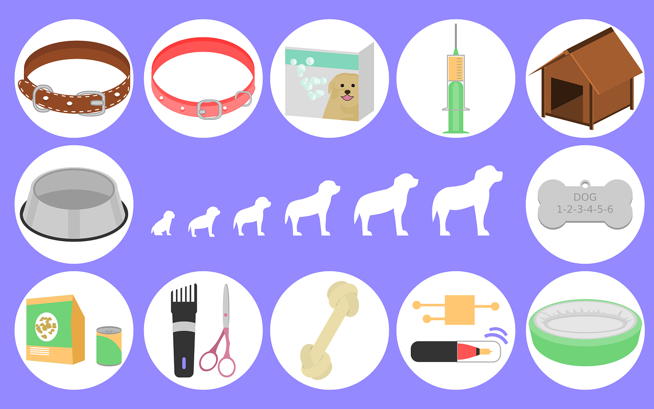 ¿Qué incluye un servicio de estética canina?
