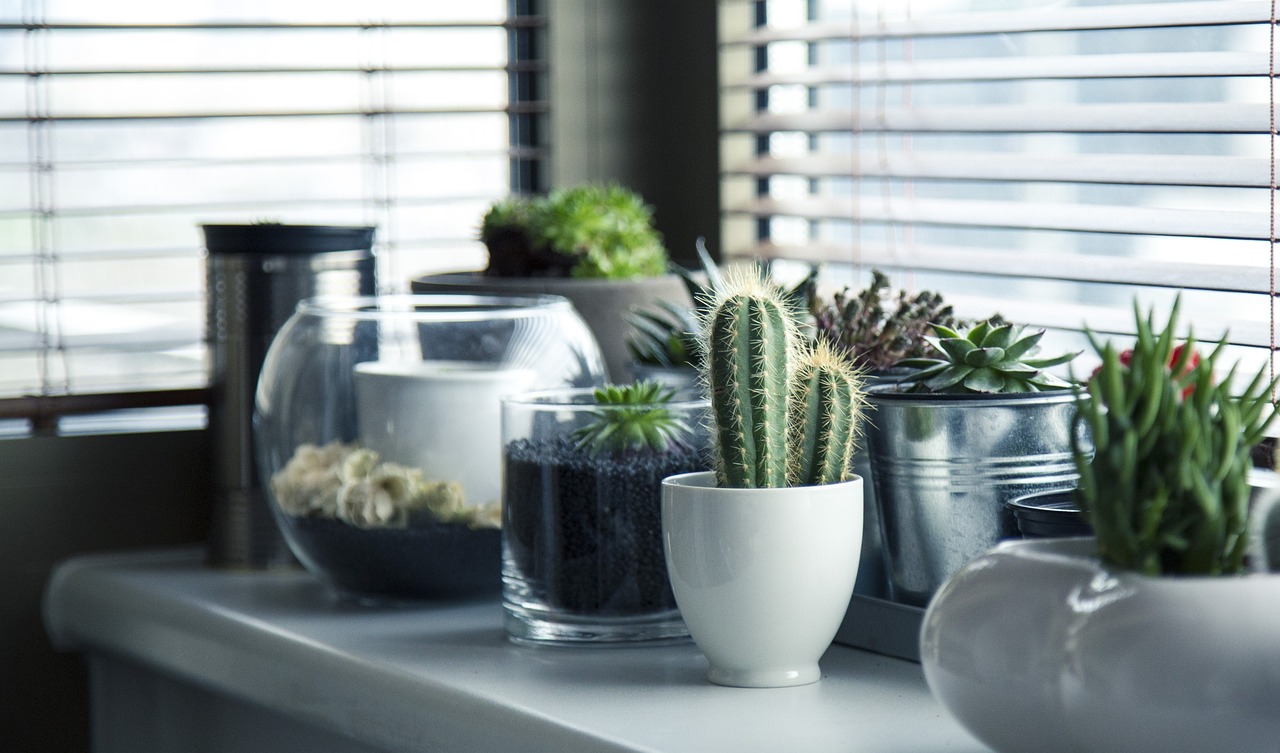 ¿Qué se necesita para la decoración de un evento?