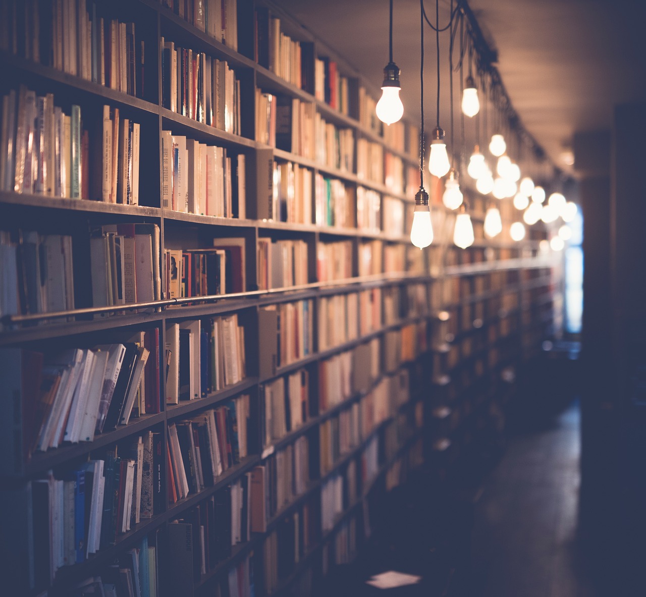 ¿Qué es una educación libre?