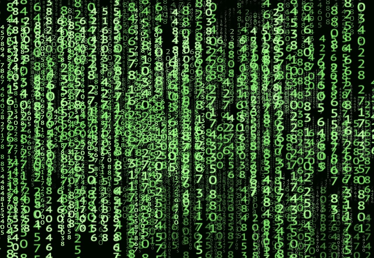 ¿Qué software se utiliza en el Sistema de Liquidación Directa?
