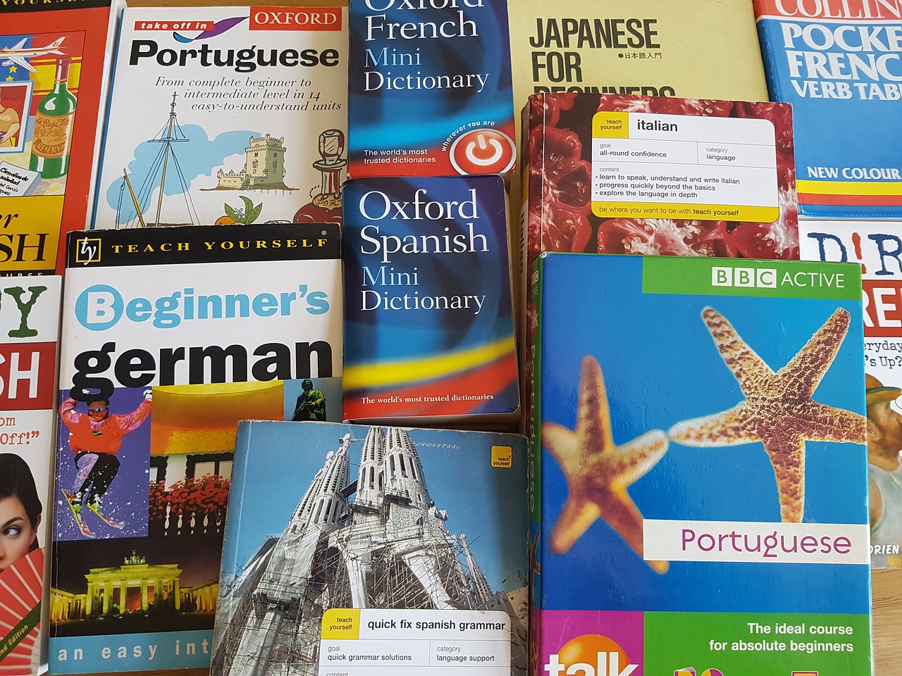 ¿Cómo se llama el idioma japonés?