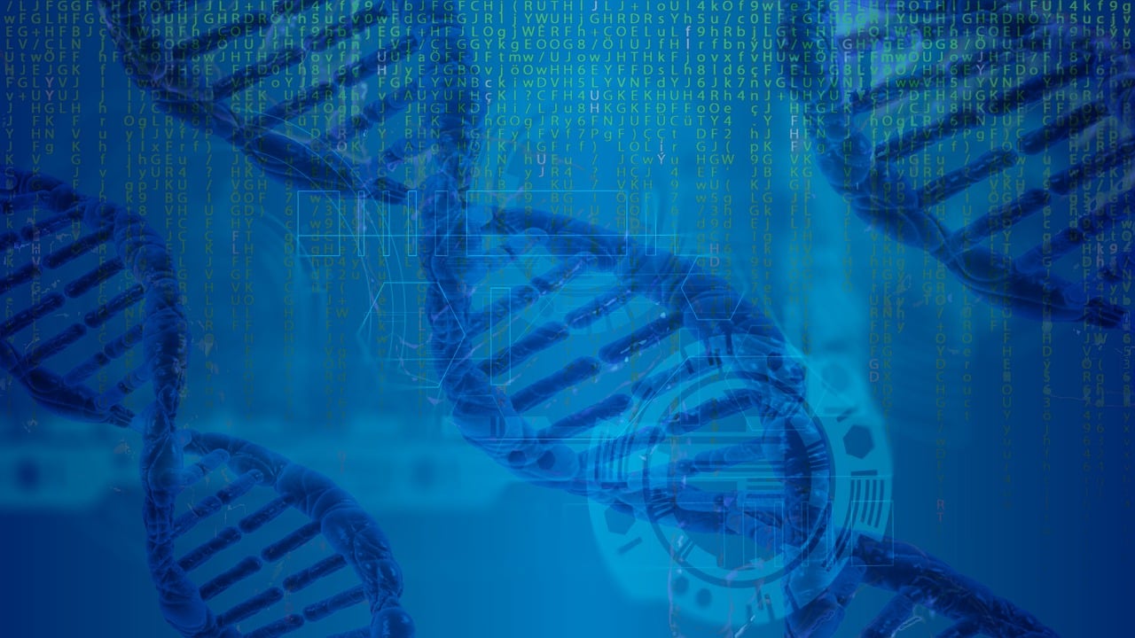¿Qué salida laboral tiene bioinformática?